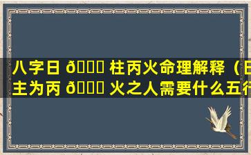 八字日 🍁 柱丙火命理解释（日主为丙 🐎 火之人需要什么五行来帮）